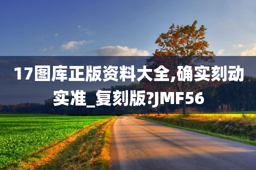 17图库正版资料大全,确实刻动实准_复刻版?JMF56