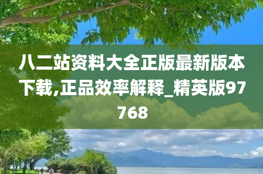 八二站资料大全正版最新版本下载,正品效率解释_精英版97768