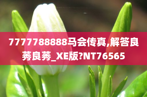 7777788888马会传真,解答良莠良莠_XE版?NT76565