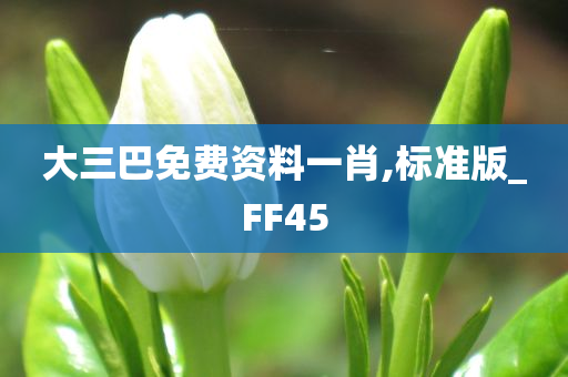 大三巴免费资料一肖,标准版_FF45