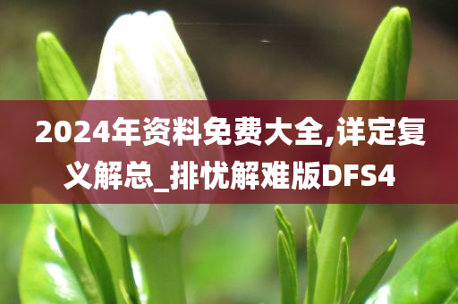 2024年资料免费大全,详定复义解总_排忧解难版DFS4