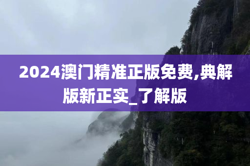 2024澳门精准正版免费,典解版新正实_了解版