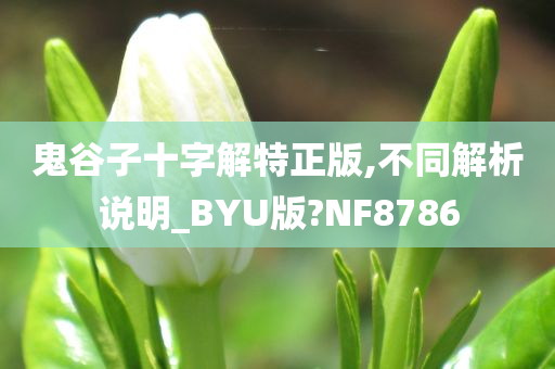 鬼谷子十字解特正版,不同解析说明_BYU版?NF8786