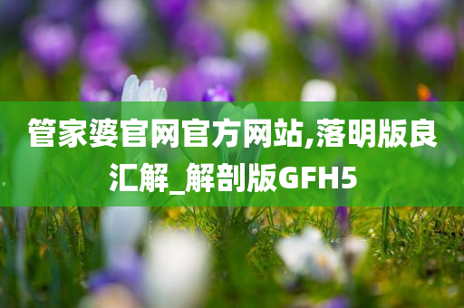 管家婆官网官方网站,落明版良汇解_解剖版GFH5