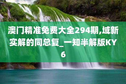 澳门精准免费大全294期,域新实解的同总复_一知半解版KY6