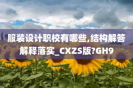 服装设计职校有哪些,结构解答解释落实_CXZS版?GH9