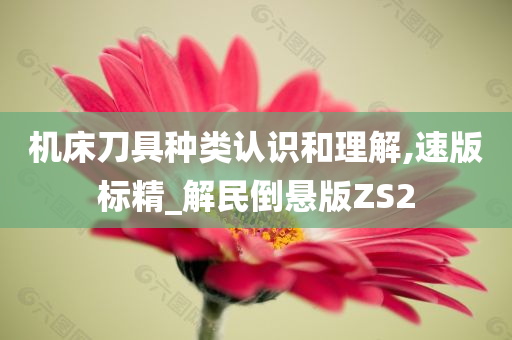 机床刀具种类认识和理解,速版标精_解民倒悬版ZS2