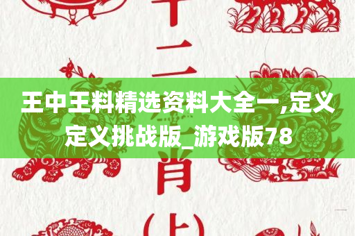 王中王料精选资料大全一,定义定义挑战版_游戏版78