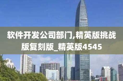 软件开发公司部门,精英版挑战版复刻版_精英版4545