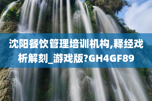 沈阳餐饮管理培训机构,释经戏析解刻_游戏版?GH4GF89