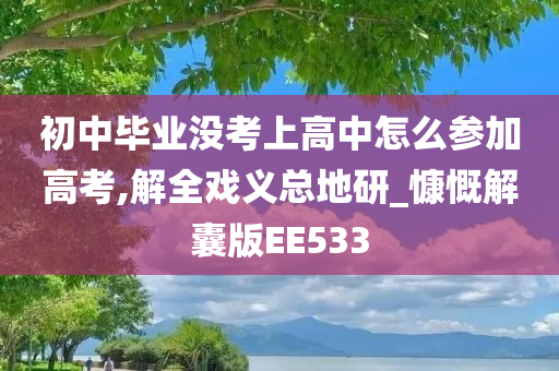 初中毕业没考上高中怎么参加高考,解全戏义总地研_慷慨解囊版EE533