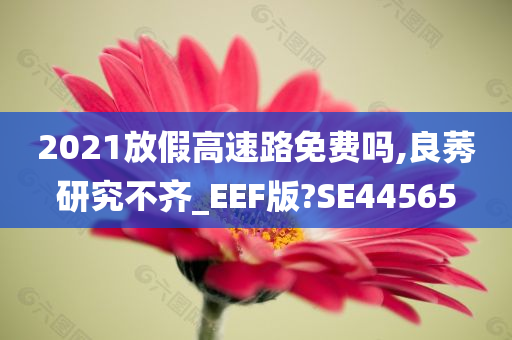 2021放假高速路免费吗,良莠研究不齐_EEF版?SE44565