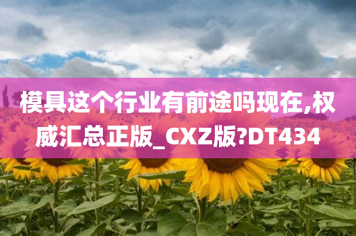 模具这个行业有前途吗现在,权威汇总正版_CXZ版?DT434