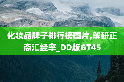 化妆品牌子排行榜图片,解研正态汇经率_DD版GT45