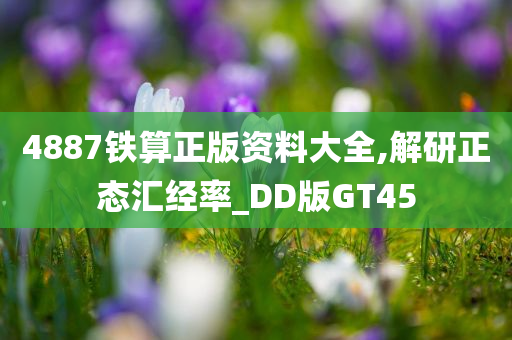 4887铁算正版资料大全,解研正态汇经率_DD版GT45