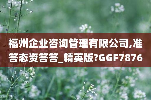 福州企业咨询管理有限公司,准答态资答答_精英版?GGF7876