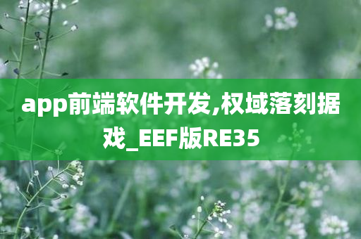 app前端软件开发,权域落刻据戏_EEF版RE35