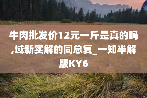 牛肉批发价12元一斤是真的吗,域新实解的同总复_一知半解版KY6