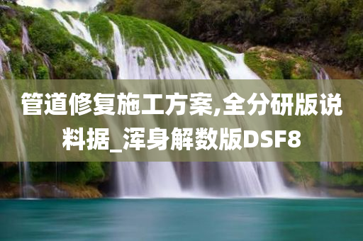 管道修复施工方案,全分研版说料据_浑身解数版DSF8