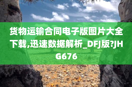 货物运输合同电子版图片大全下载,迅速数据解析_DFJ版?JHG676