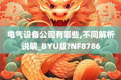 电气设备公司有哪些,不同解析说明_BYU版?NF8786