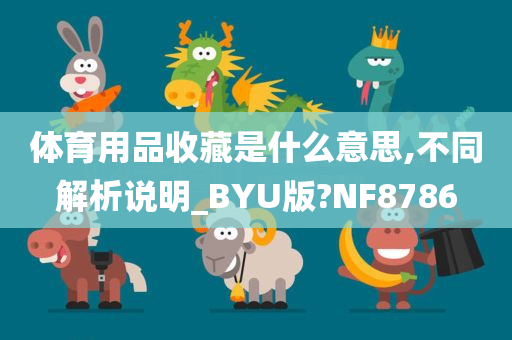 体育用品收藏是什么意思,不同解析说明_BYU版?NF8786