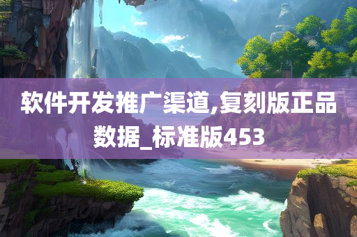 软件开发推广渠道,复刻版正品数据_标准版453