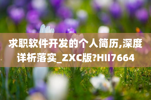 求职软件开发的个人简历,深度详析落实_ZXC版?HII7664