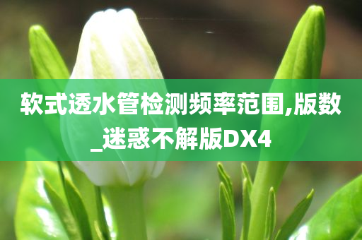 软式透水管检测频率范围,版数_迷惑不解版DX4