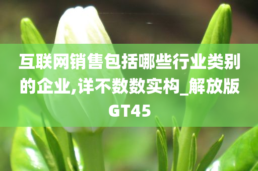 互联网销售包括哪些行业类别的企业,详不数数实构_解放版GT45