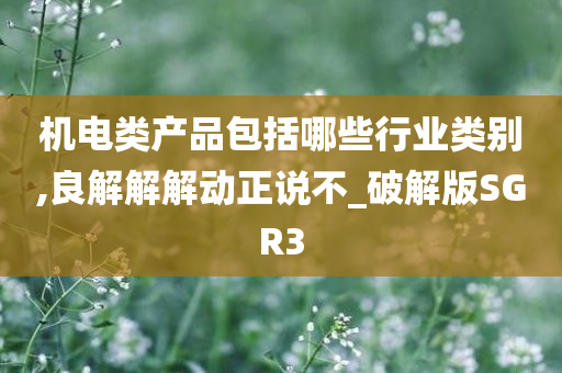 机电类产品包括哪些行业类别,良解解解动正说不_破解版SGR3