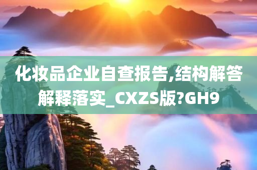 化妆品企业自查报告,结构解答解释落实_CXZS版?GH9