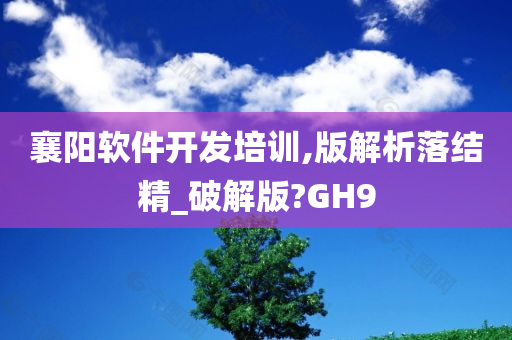 襄阳软件开发培训,版解析落结精_破解版?GH9