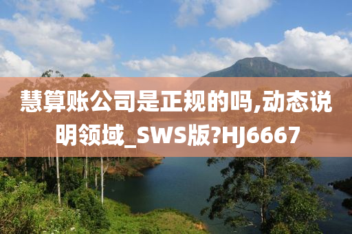 慧算账公司是正规的吗,动态说明领域_SWS版?HJ6667