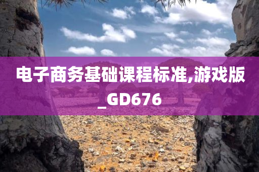 电子商务基础课程标准,游戏版_GD676