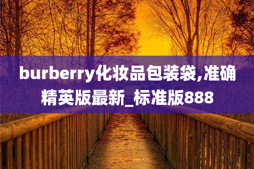 burberry化妆品包装袋,准确精英版最新_标准版888