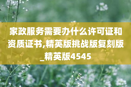 家政服务需要办什么许可证和资质证书,精英版挑战版复刻版_精英版4545