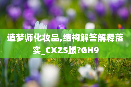 造梦师化妆品,结构解答解释落实_CXZS版?GH9