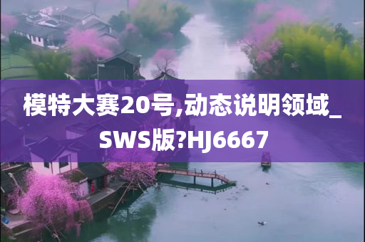 模特大赛20号,动态说明领域_SWS版?HJ6667