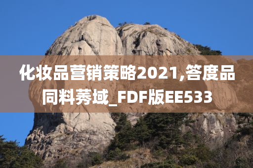 化妆品营销策略2021,答度品同料莠域_FDF版EE533