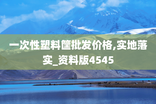 一次性塑料筐批发价格,实地落实_资料版4545