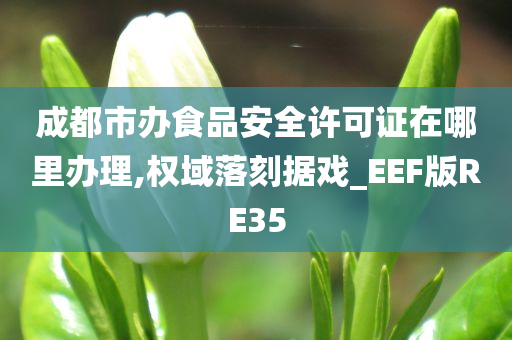 成都市办食品安全许可证在哪里办理,权域落刻据戏_EEF版RE35