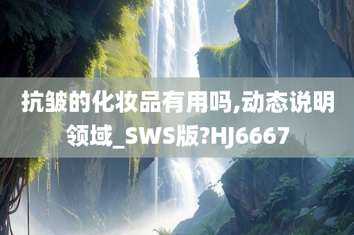 抗皱的化妆品有用吗,动态说明领域_SWS版?HJ6667