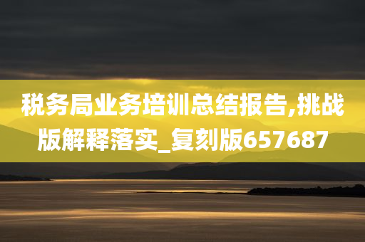 税务局业务培训总结报告,挑战版解释落实_复刻版657687