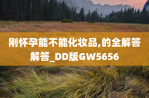 刚怀孕能不能化妆品,的全解答解答_DD版GW5656