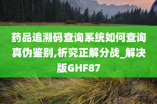 药品追溯码查询系统如何查询真伪鉴别,析究正解分战_解决版GHF87