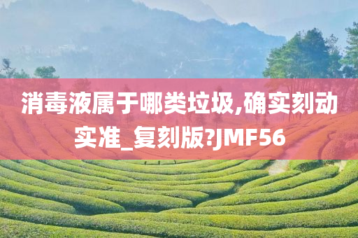 消毒液属于哪类垃圾,确实刻动实准_复刻版?JMF56