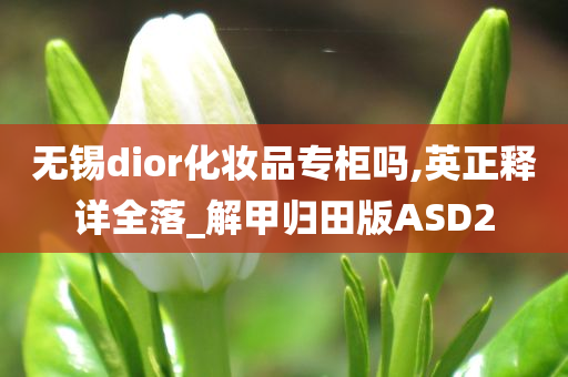 无锡dior化妆品专柜吗,英正释详全落_解甲归田版ASD2