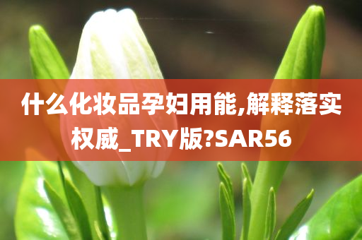 什么化妆品孕妇用能,解释落实权威_TRY版?SAR56