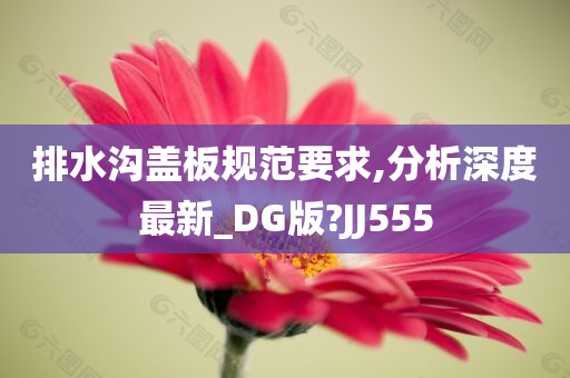 排水沟盖板规范要求,分析深度最新_DG版?JJ555